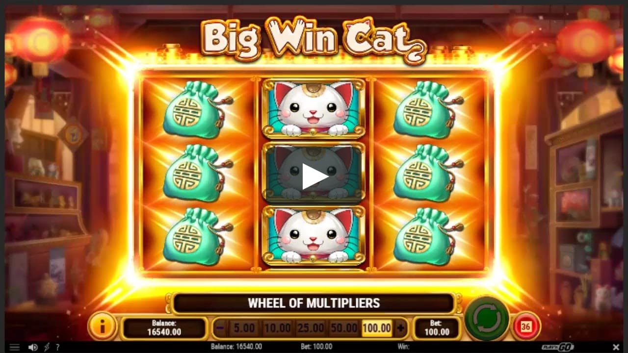 Big Win Cat slot