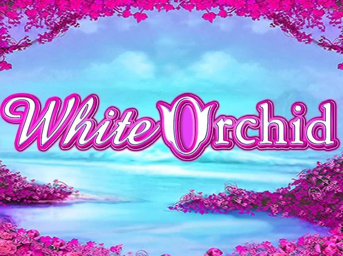 Revue de la machine à sous White Orchid