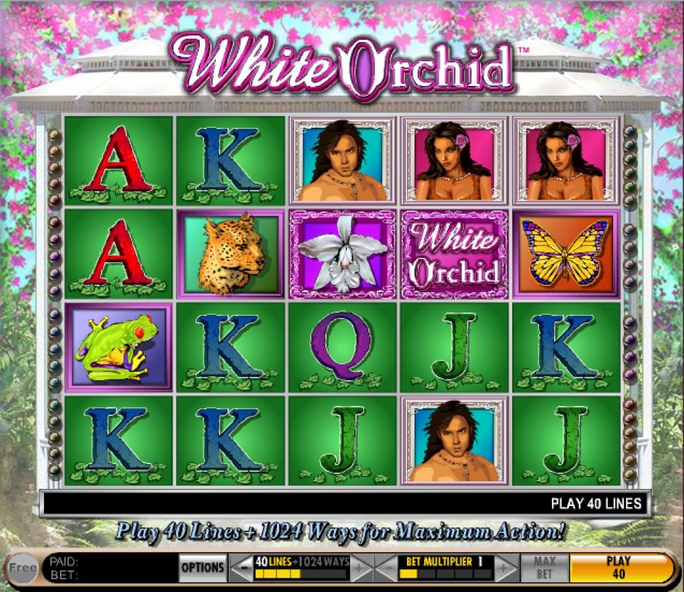 White Orchid slot